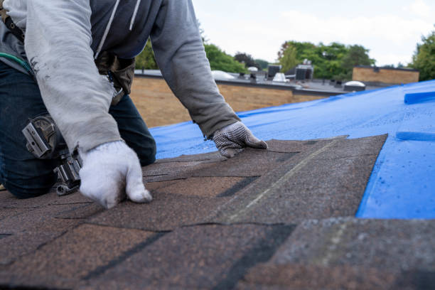 Best Roofing Contractor Near Me  in Maury, NC