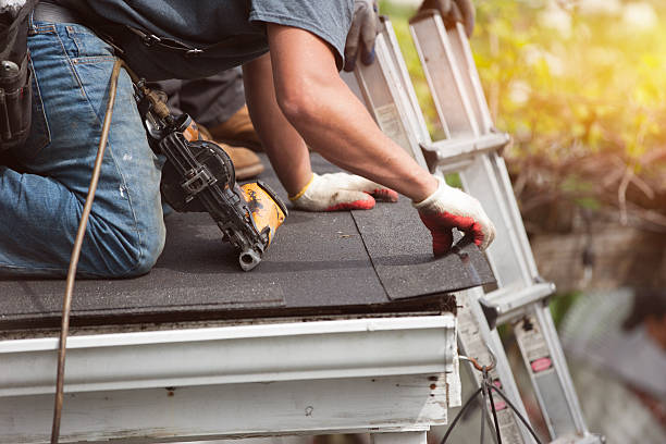 Roof Gutter Cleaning in Maury, NC